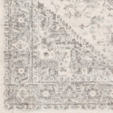 Surya Chester Che-2312 Light Gray, Medium Gray, Khaki Rugs.