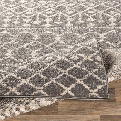 Surya Chester Che-2321 Medium Gray, Light Gray, Khaki Rugs.