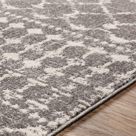 Surya Chester Che-2321 Medium Gray, Light Gray, Khaki Rugs.