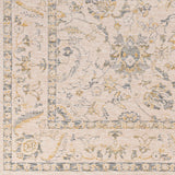 Surya Chicago Chg-2300 Beige Rug.