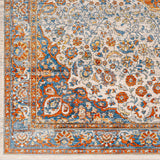 Surya Chicago Chg-2306 Orange Rug.