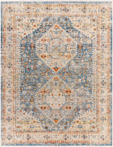 Surya Chicago Chg-2309 Orange Rug.