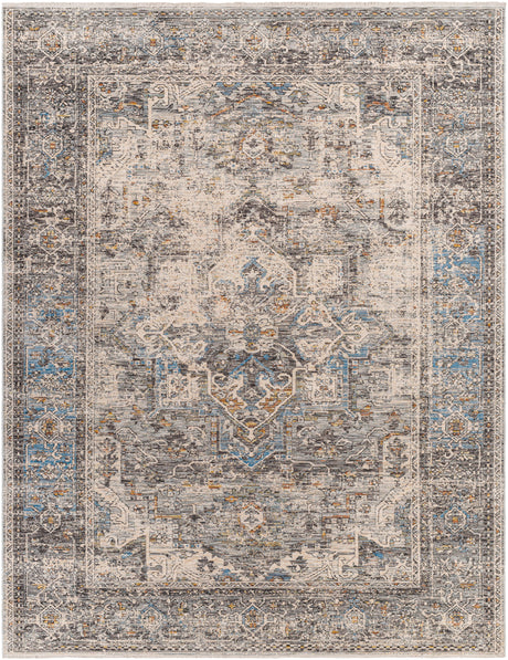 Surya Chicago Chg-2312 Blue Rug.