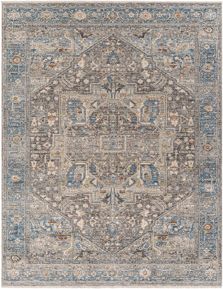 Surya Chicago Chg-2313 Blue Rug.