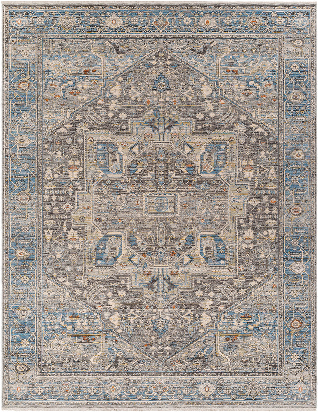 Surya Chicago Chg-2313 Blue Rug.