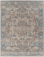 Surya Chicago Chg-2313 Blue Rug.