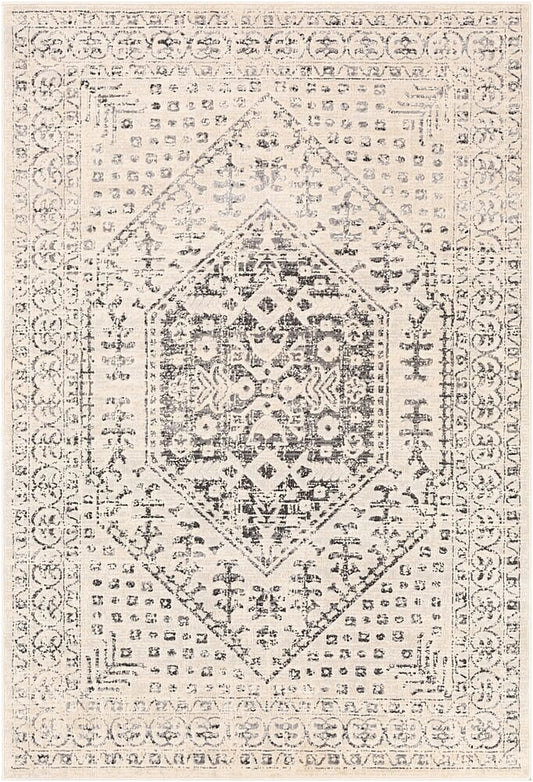 Surya City Cit-2381 Taupe, Black, Light Gray, Beige Vintage / Distressed Area Rug