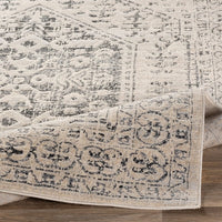 Surya City Cit-2381 Taupe, Black, Light Gray, Beige Vintage / Distressed Area Rug