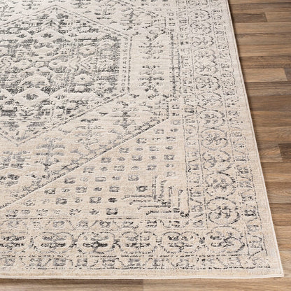 Surya City Cit-2381 Taupe, Black, Light Gray, Beige Vintage / Distressed Area Rug