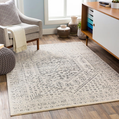 Surya City Cit-2381 Taupe, Black, Light Gray, Beige Vintage / Distressed Area Rug