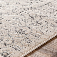 Surya City Cit-2381 Taupe, Black, Light Gray, Beige Vintage / Distressed Area Rug