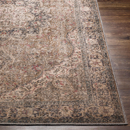 Surya Colin Cln-2309 Dusty Sage, Olive, Red, Black Area Rug