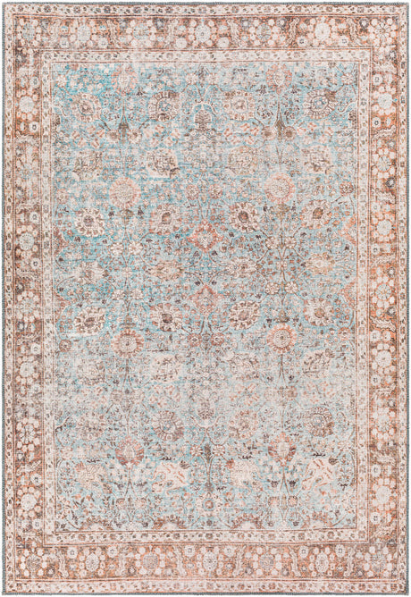 Surya Colin Cln-2310 Light Blue, Tan, Orange, Brown Rugs.