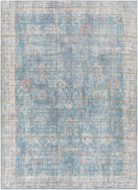 Surya Cobb Cob-2300 Light Blue, Blue, Rose, Oatmeal Area Rug