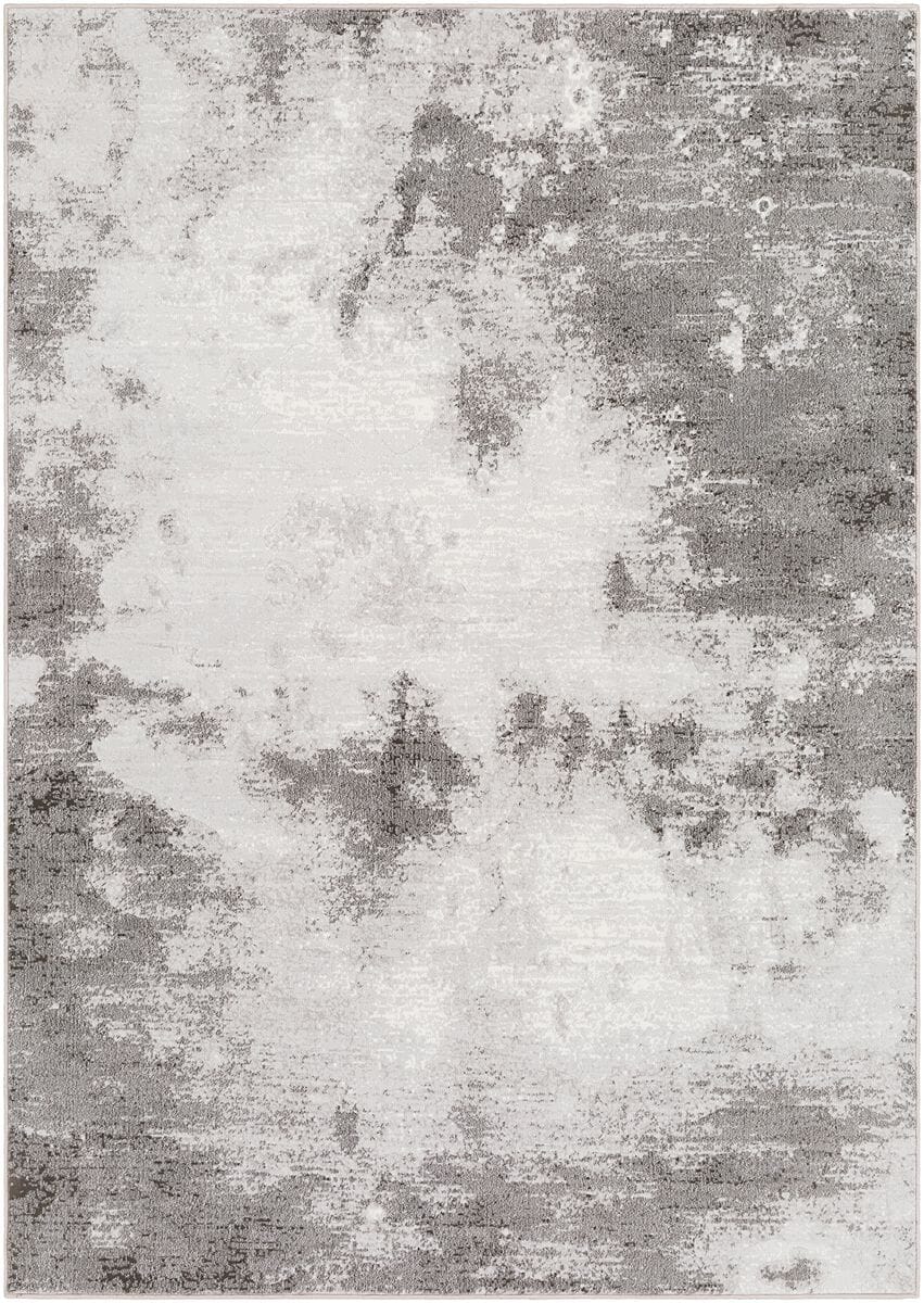 Surya Contempo Cpo-3839 Light Gray, White, Charcoal Organic / Abstract Area Rug