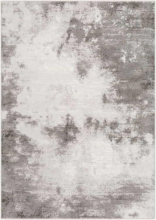 Surya Contempo Cpo-3839 Light Gray, White, Charcoal Organic / Abstract Area Rug