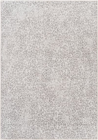 Surya Contempo Cpo-3852 Cream, Light Gray, Medium Gray Area Rug