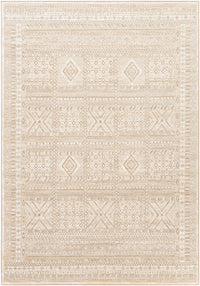 Surya Contempo Cpo-3853 Cream, Beige, Camel Area Rug