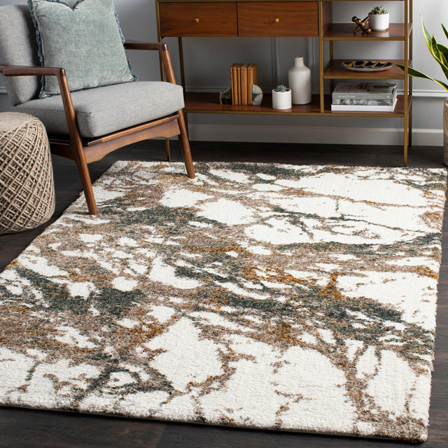 Surya Celestial Shag Csg-2303 Cream, Taupe, Medium Gray, Dark Green Rugs.