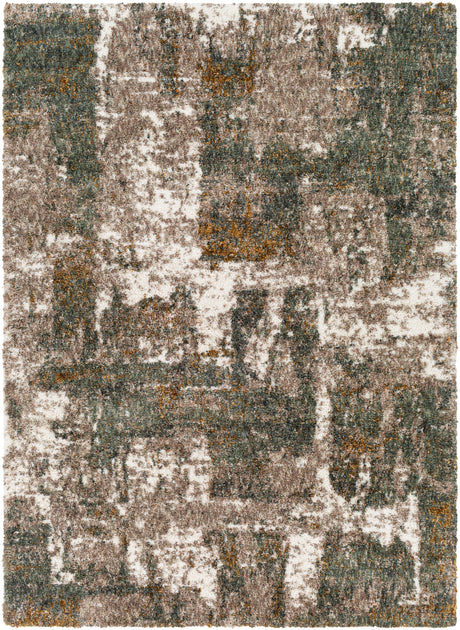 Surya Celestial Shag Csg-2306 Taupe, Medium Gray, Dark Green, Sage Rugs.