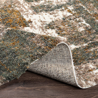 Surya Celestial Shag Csg-2306 Taupe, Medium Gray, Dark Green, Sage Area Rug