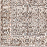 Surya Carlisle Csi-2301 Dusty Sage, Light Gray Rug.