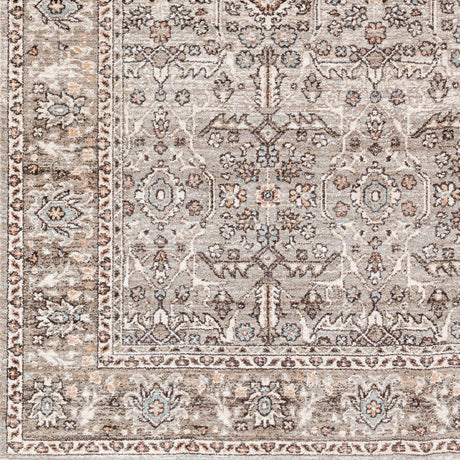 Surya Carlisle Csi-2301 Dusty Sage, Light Gray Rug.