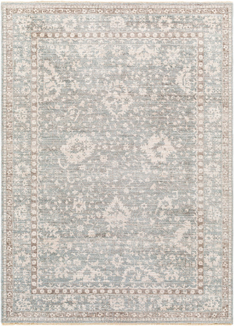 Surya Carlisle Csi-2309 Light Sage, Pale Blue Rug.