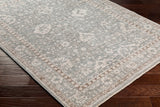Surya Carlisle Csi-2309 Light Sage, Pale Blue Rug.