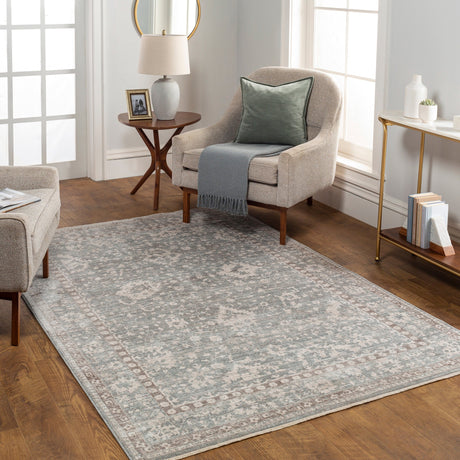 Surya Carlisle Csi-2309 Light Sage, Pale Blue Rug.