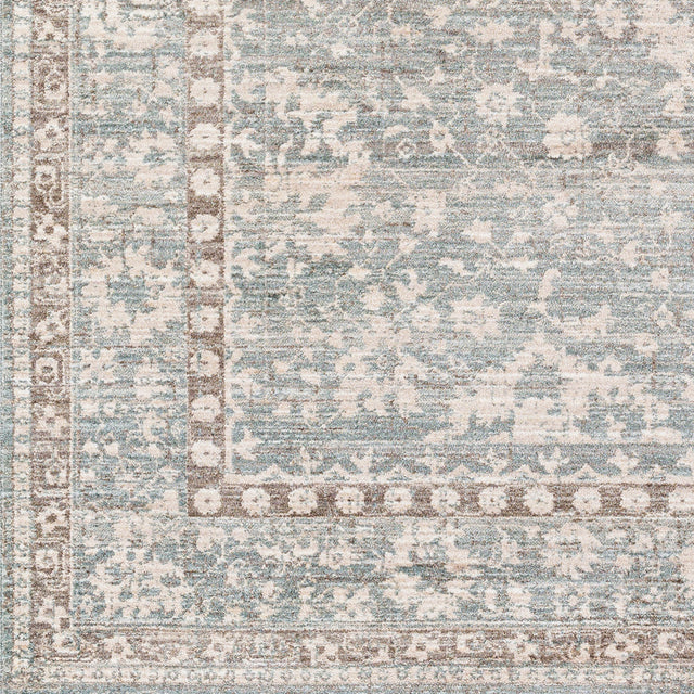 Surya Carlisle Csi-2309 Light Sage, Pale Blue Rug.