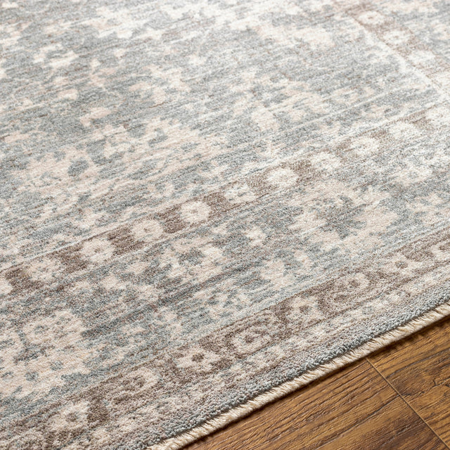 Surya Carlisle Csi-2309 Light Sage, Pale Blue Rug.