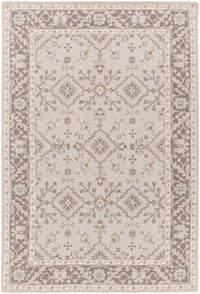 Surya Castille Ctl-2000 Taupe, Charcoal, Ivory, Camel Area Rug