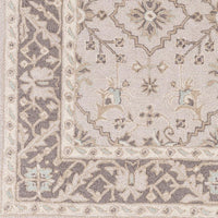 Surya Castille Ctl-2000 Taupe, Charcoal, Ivory, Camel Area Rug