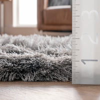 Nuloom Latonia Silken Nla2575C Silver Area Rug