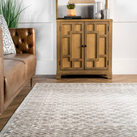 Nuloom Harley Trellis Nha1856A Beige Area Rug