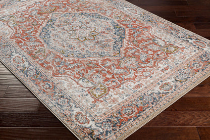 Surya Davaro Dav-2311 Orange Area Rug