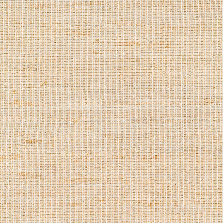 Surya Demi Dem-2304 Brown Rug.