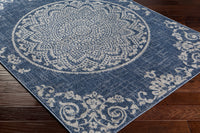 Surya Delphi Dep-2303 Blue Area Rug