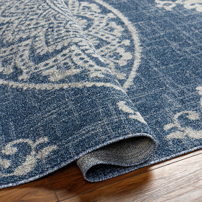 Surya Delphi Dep-2303 Blue Area Rug