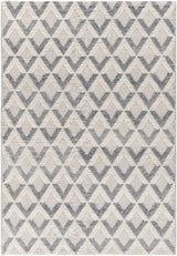 Surya Daffodil Dff-2304 Beige Rug.
