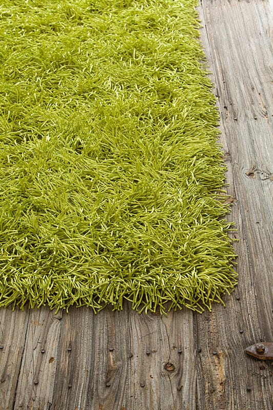 Chandra Duke duk20900 Green Shag Area Rug