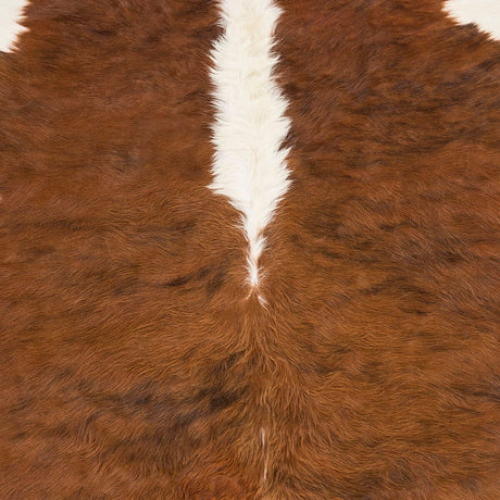 Surya Duke Duk-1001 Camel, Beige Rugs.