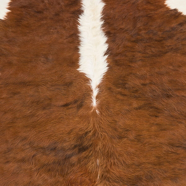 Surya Duke Duk-1001 Camel, Beige Rugs.