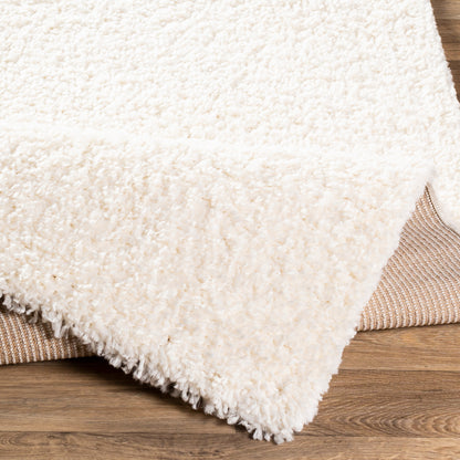 Surya Deluxe Shag Dxs-2300 White Area Rug