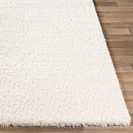 Surya Deluxe Shag Dxs-2300 White Rugs.