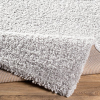 Surya Deluxe Shag Dxs-2302 Light Gray Area Rug