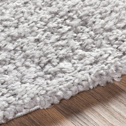 Surya Deluxe Shag Dxs-2302 Light Gray Area Rug