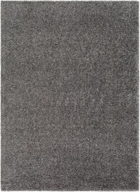 Surya Deluxe Shag Dxs-2303 Charcoal Area Rug