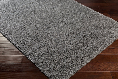 Surya Deluxe Shag Dxs-2303 Charcoal Area Rug